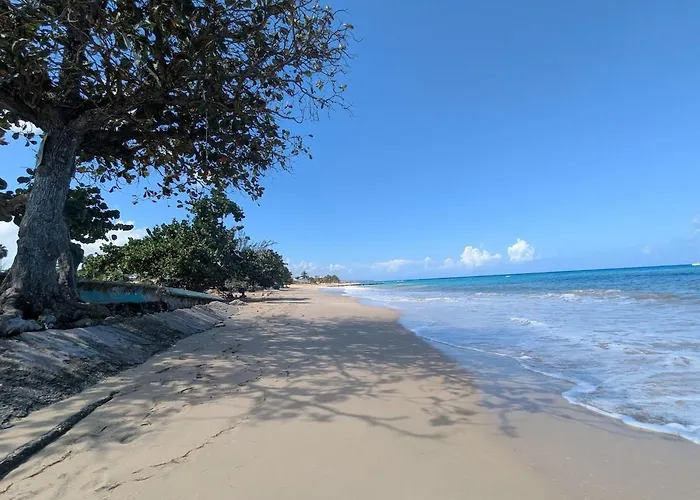 Apartment 2 Bedroom Beachfront With King Bed And Pool Runaway Bay